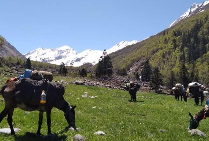Bali Pass  Trek
